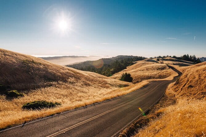 Private Day Tour from Florence to Pisa, Chianti and San Gimignano - Frequently Asked Questions