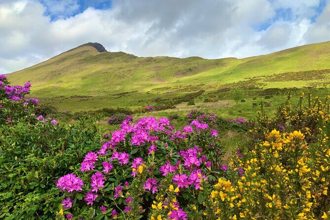 Private Day Tour from Galway to the Burren & The Cliffs of Moher - The Sum Up