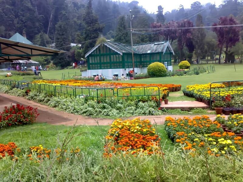 Private Day Tour : From Madurai to Enchanting Kodaikanal - Private Day Tour: From Madurai to Enchanting Kodaikanal