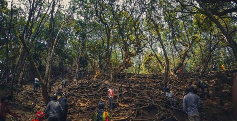 Private Day Tour : From Madurai to Enchanting Kodaikanal - Key Points