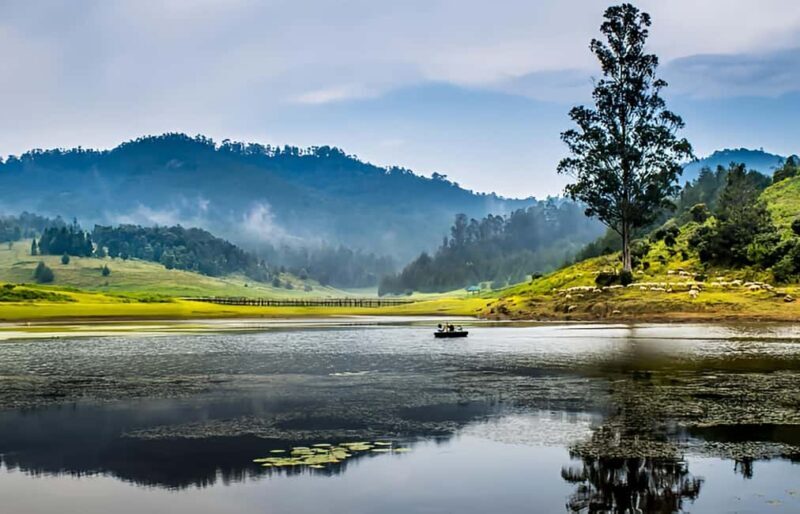 Private Day Tour : From Madurai to Enchanting Kodaikanal - What Makes This Tour Stand Out?