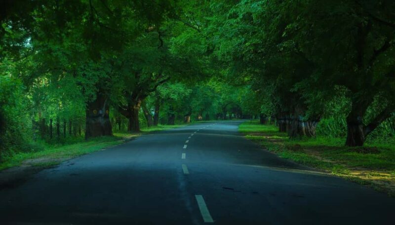 Private Day Tour : From Madurai to Enchanting Kodaikanal - Who Should Book This Tour?