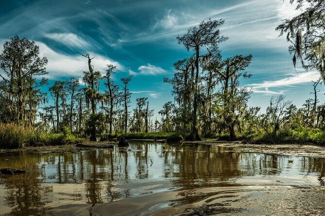 Private Day Tour from New Orleans to the Bayou and Swamps - An Authentic Day in Louisiana’s Bayou Country