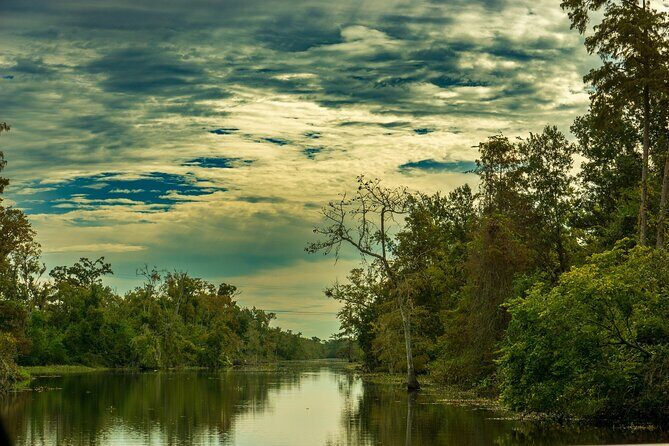 Private Day Tour from New Orleans to the Bayou and Swamps - Scenic Views at the Riverfront