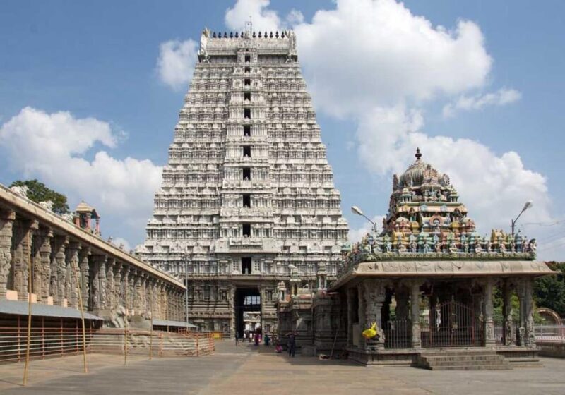 Private Day Tour from Pondicherry to Tiruvannamalai - Who Would Enjoy This Tour?