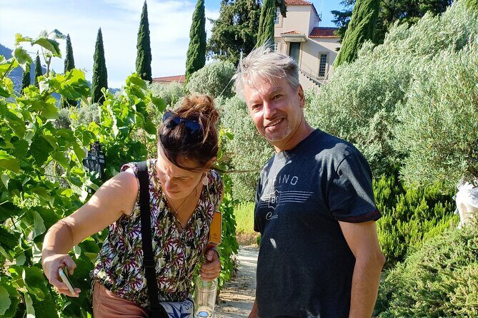 Private day tour from Porto to Douro Valley - A Closer Look at the Douro Valley Day Tour from Porto