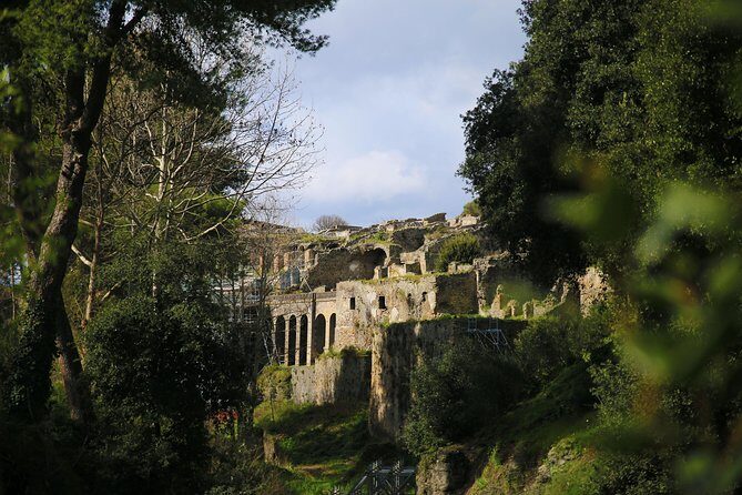 Private Day Tour from Rome to Pompeii and Herculaneum with Hotel Pick up - FAQ