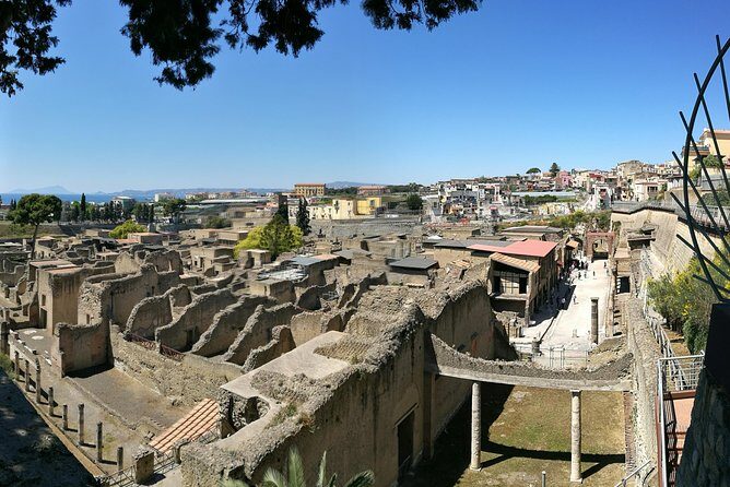 Private Day Tour: Herculaneum and Wine Tasting - Who Will Love This Tour?