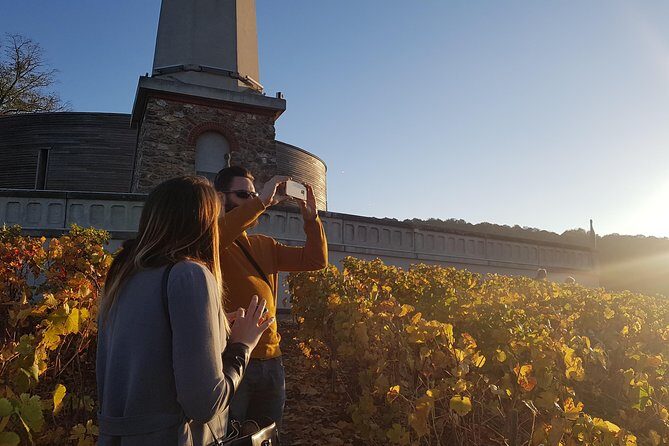 Private day tour in Champagne - An In-Depth Look at the Champagne Private Tour