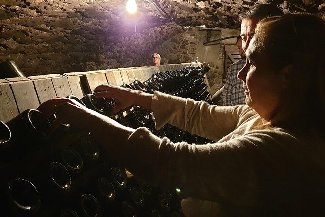 Private day tour in Champagne - Who Should Consider This Tour?