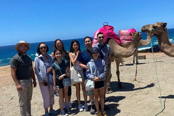 Private Day Tour in Gibraltar and Tangier, Morocco from Malaga - Transportation and Logistics