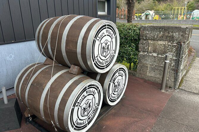 Private Day Tour in Kagoshima - The Sum Up