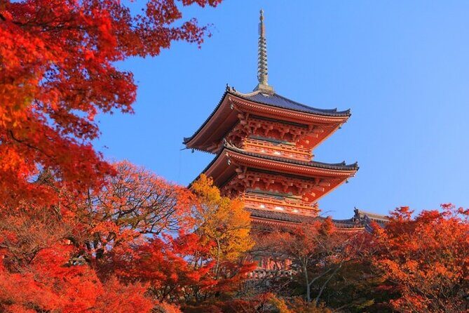 Private Day Tour in Osaka and Kyoto with charter car - A Close Look at the Itinerary and Experience