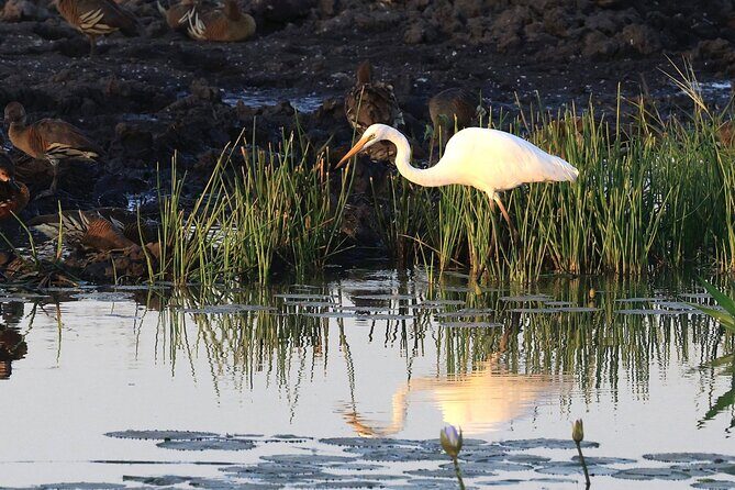 Private Day Tour Kakadu - Possible Drawbacks or Considerations