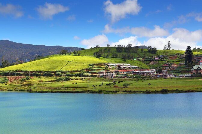 Private day tour kandy to nuwara eliya tea plantation - Key Points