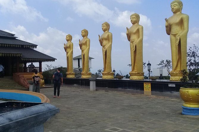 Private day tour kandy to nuwara eliya tea plantation - Who Should Consider This Tour?