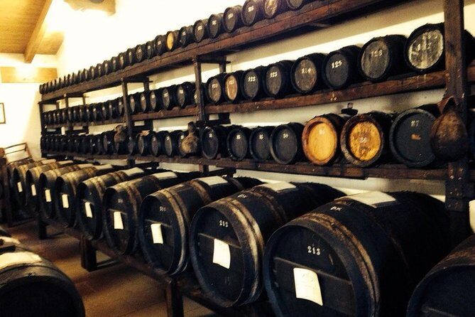 Private Day Tour & Lunch: Parmesan, Wine, and Vinegar Tasting - Key Points
