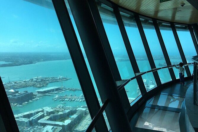 Private Day Tour of Auckland, Aquarium, Sky Tower, Mt Eden & Wt - Who Would Love This Tour?