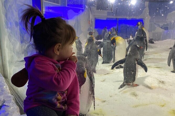 Private Day Tour of Auckland, Aquarium, Sky Tower, Mt Eden & Wt - FAQ