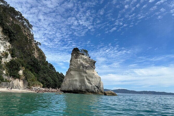 Private Day Tour of Cathedral Cove, Zipline and Glass Bottom Boat - Final Thoughts