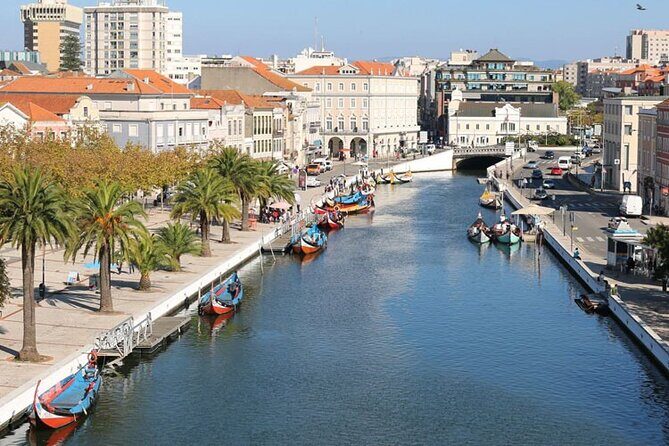 Private day tour of Coimbra and Aveiro from Lisbon - Frequently Asked Questions