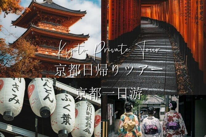 Private Day Tour of Historic Osaka - Who Would Love This Tour?