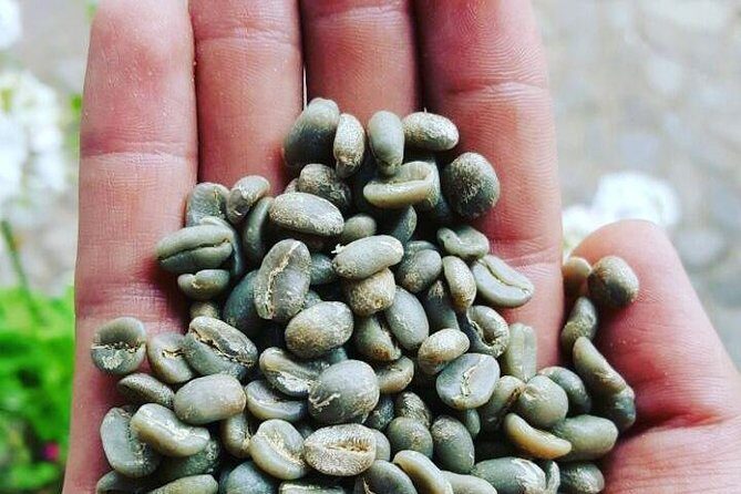 Private Day Tour of Jardín with Horseback Ride and Coffee Villa from Medellin - FAQs