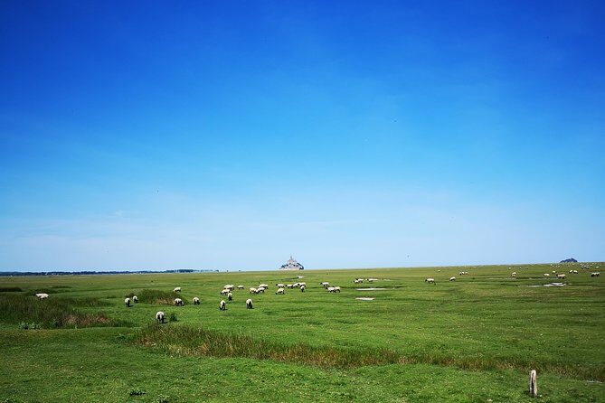 Private Day Tour of Mont Saint-Michel from Caen - What Makes This Tour Stand Out?