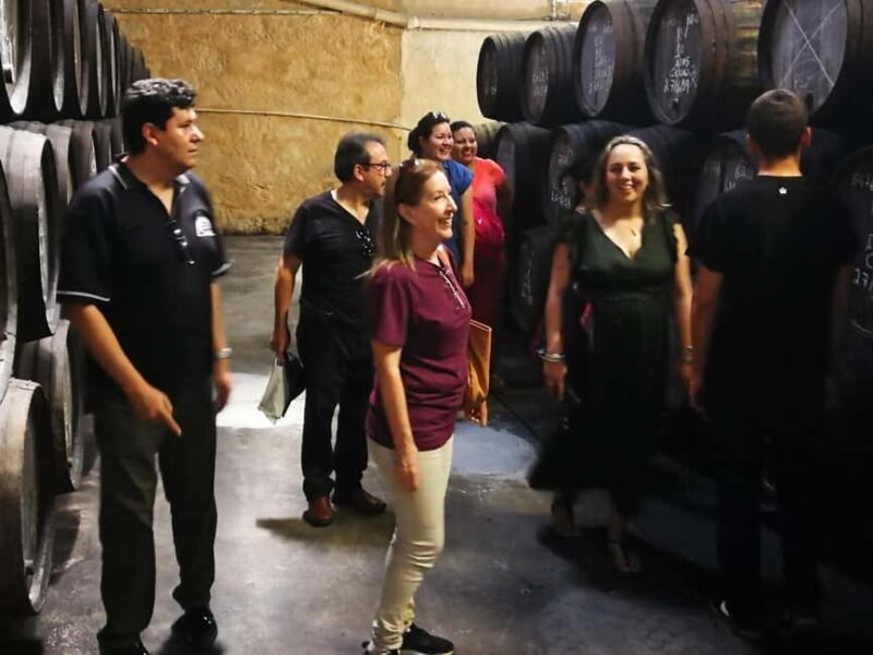 Private day tour of Olive Oil , Salt Flats and Winery - Practical Considerations and Value