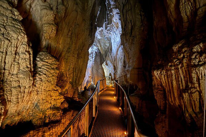 Private Day Tour of Ruakuri Cave, Glowworm and Hobbiton Movie Set - Overall Value and Experience