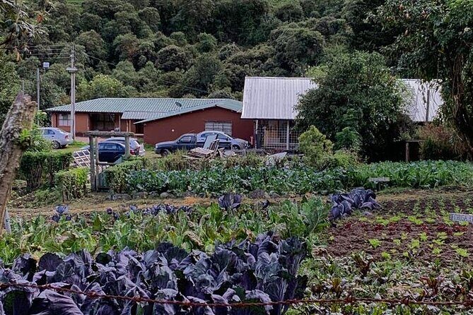 Private Day Tour of the Páramo and Papallacta Hot Springs - Key Points