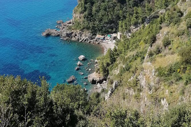 Private day tour: Pompeii, Sorrento and Positano. - Transportation and Comfort