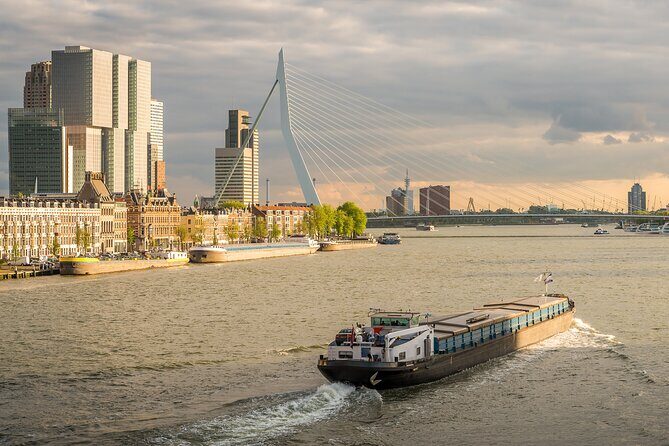 Private Day Tour: Rotterdam and The Hague. English or Spanish - Why Choose This Tour?
