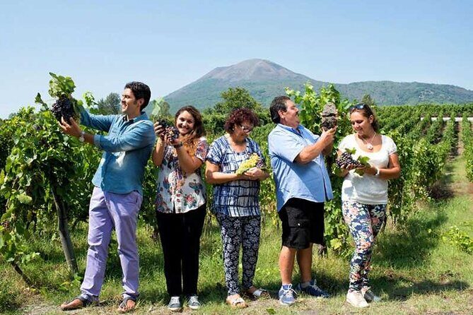Private day tour: Sorrento, Positano, Amalfi and Ravello. - Who This Tour Is Perfect For