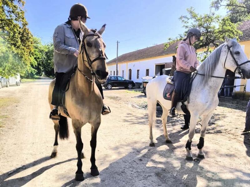 Private Day Tour Tagus River, olive oil, winery and horses - Discover the Charm of Portugal’s Ribatejo with a Private Day Tour