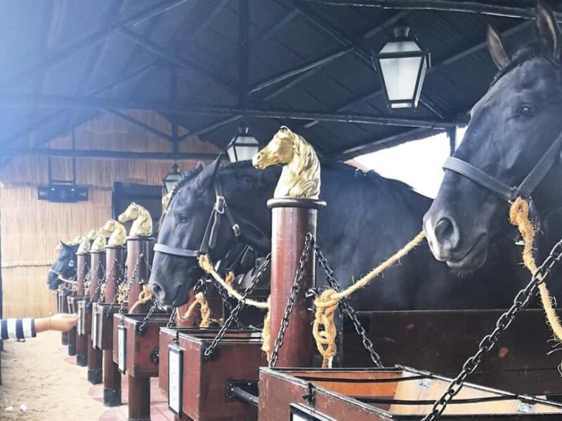 Private Day Tour Tagus River, olive oil, winery and horses - Why This Tour Is a Great Choice