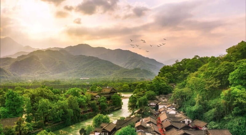 Private Day Tour to Dujiangyan & Mount Qingcheng - What’s Included and What to Consider