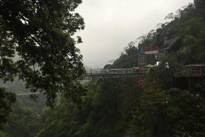 Private Day Tour to Gulong Canyon Glass Bridge from Guangzhou - Who Is This Tour Best Suited For?