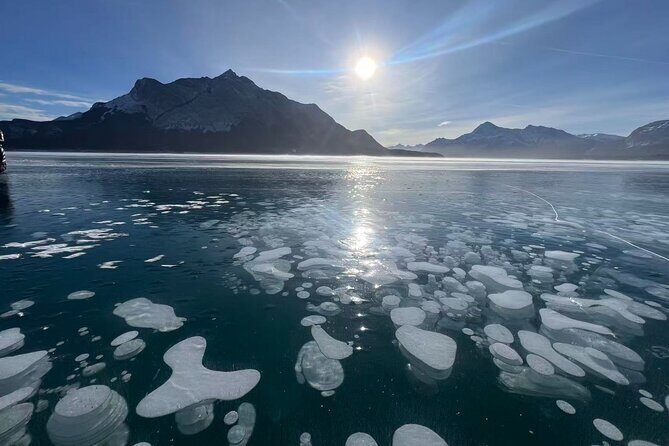 Private Day Tour to Icefield Parkway and Abraham Lake - An In-Depth Look at the Private Day Tour to Icefield Parkway and Abraham Lake