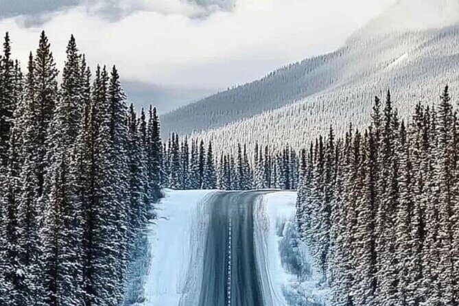 Private Day Tour to Icefield Parkway and Abraham Lake - What’s Included and What To Keep in Mind