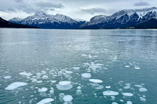 Private Day Tour to Icefield Parkway and Abraham Lake - FAQ