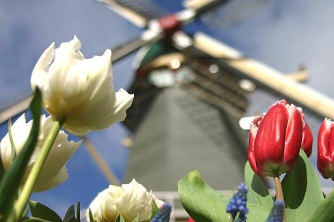 Private Day Tour to Keukenhof Gardens - from Amsterdam/Rotterdam - Optional Visits & Customization