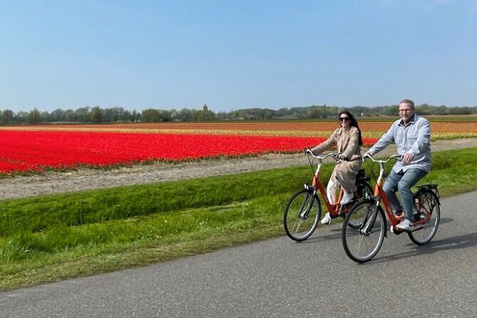 Private Day Tour to Keukenhof Gardens - from Amsterdam/Rotterdam - Reviews & Authentic Experiences