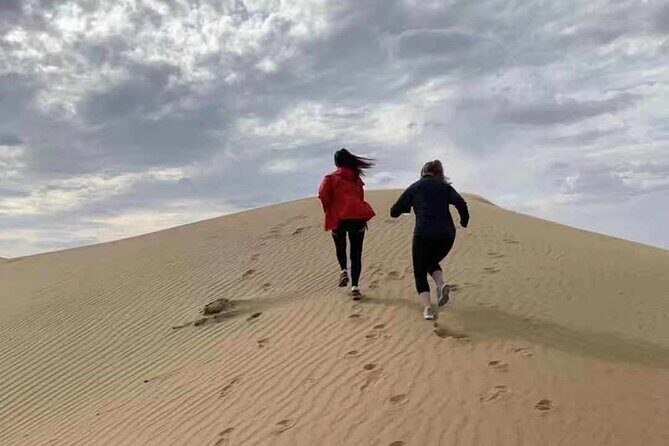 Private Day Tour to Kubuqi Desert from Hohhot with Pick Up - A Deep Dive into the Desert Experience