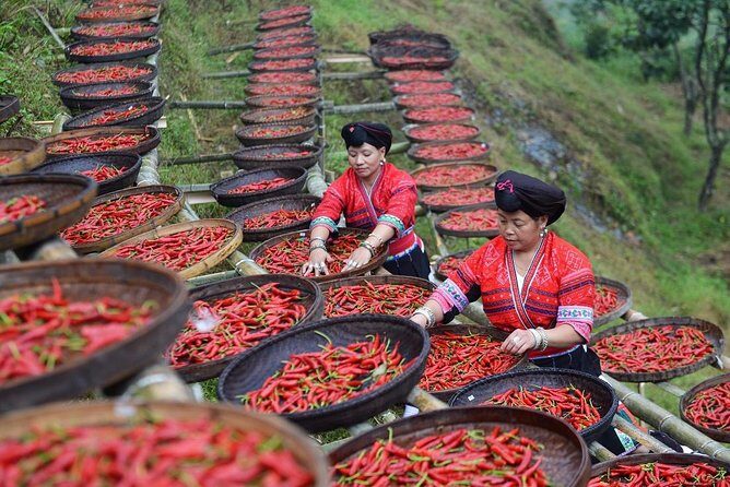Private Day Tour to Longji Rice Terraces and Long Hair Village from Guilin - Who Would Love This Tour?