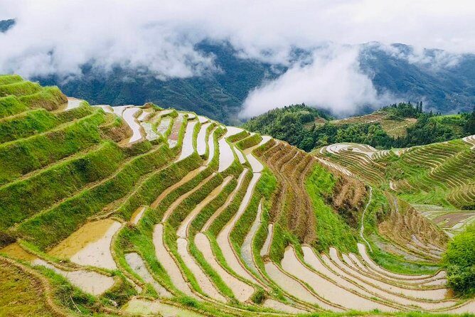 Private Day Tour to Longji Rice Terraces from Yangshuo - Who Will Love This Tour?