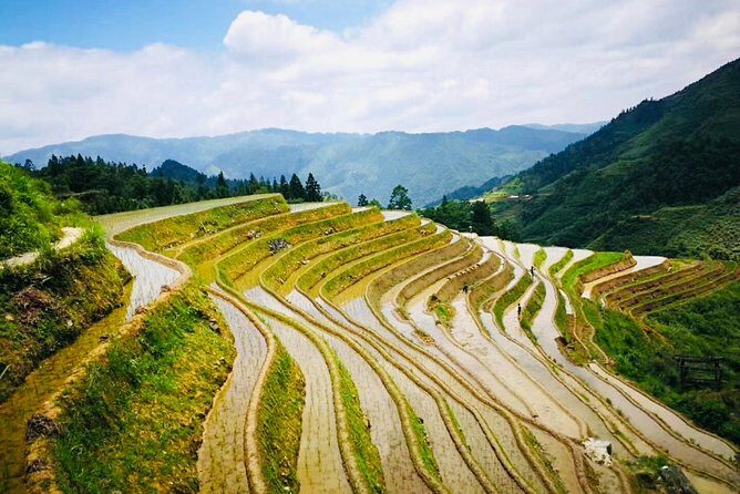 Private Day Tour to Longji Rice Terraces from Yangshuo - FAQ