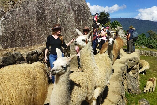 Private Day Tour to Machu Picchu - Exploring the Day: What to Expect