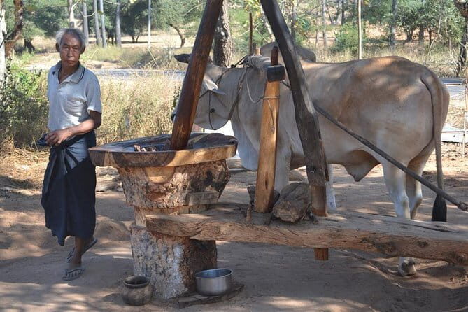 Private Day Tour to Mt Popa - An In-Depth Look at the Private Mount Popa Tour