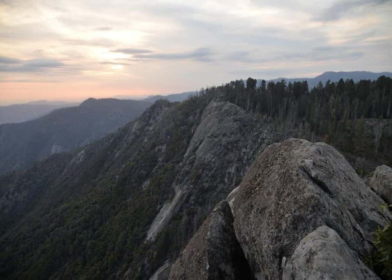 Private Day Tour to Sequoia and Kings Canyon Parks From LA - An In-Depth Look at the Tour Experience